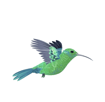 Flying Bird Companion